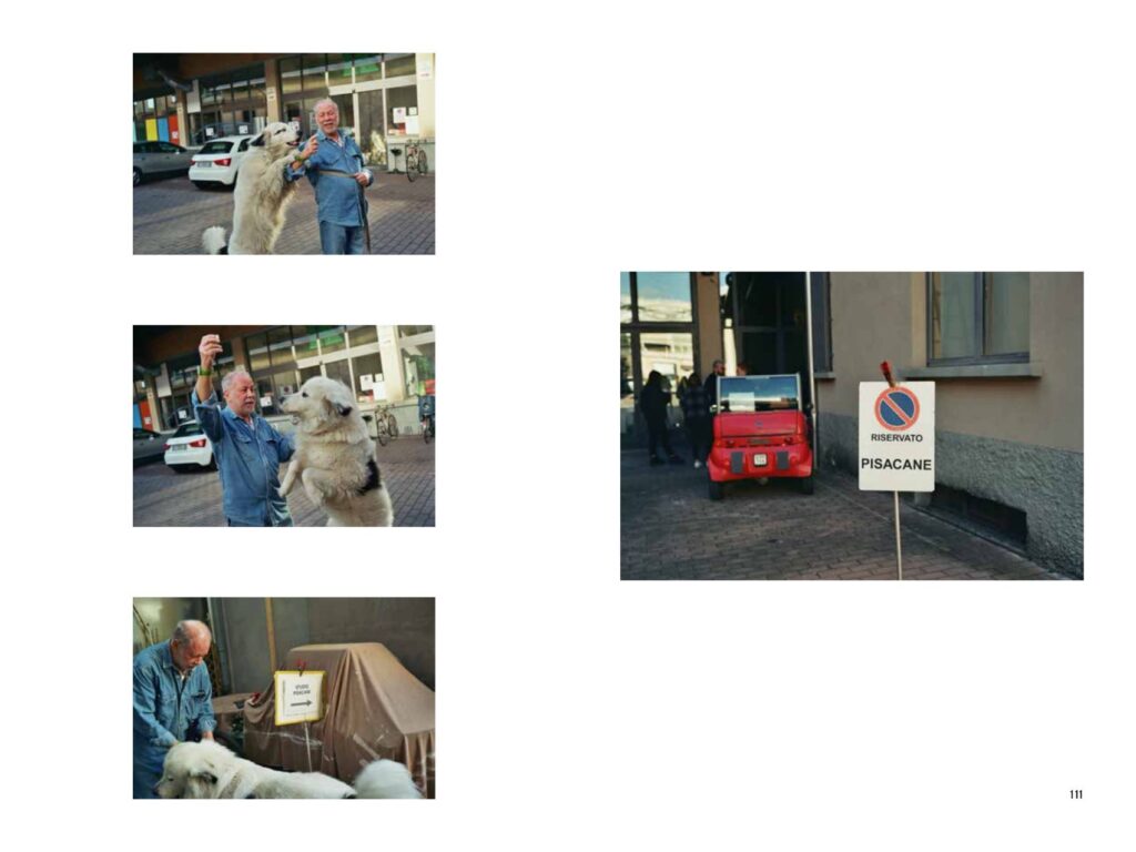 Kindness Film Story